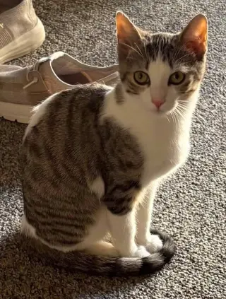 Sally (Bonded with Simon)