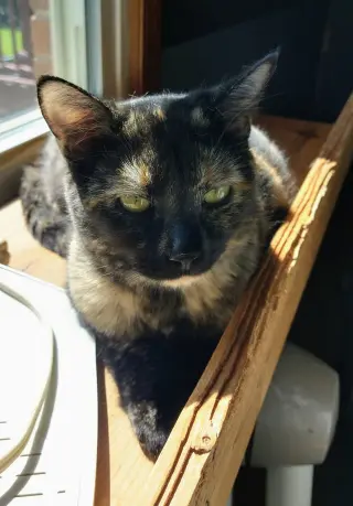 Emmy Lou