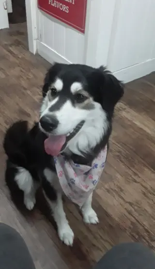 Athena