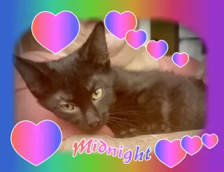 ***Midnight