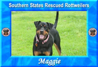 Maggie