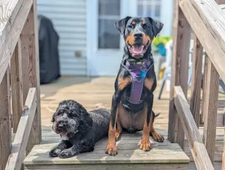 Maggie