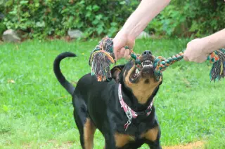 Maggie