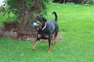Maggie