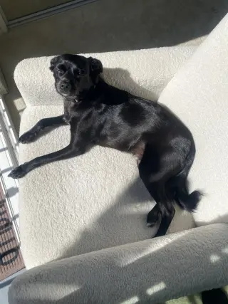 Baxter