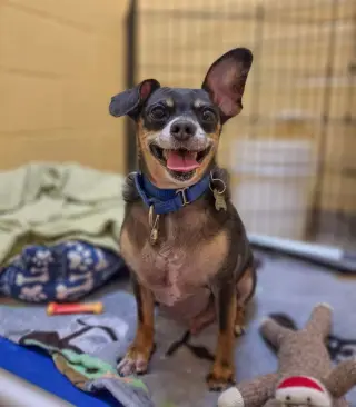 Eugene