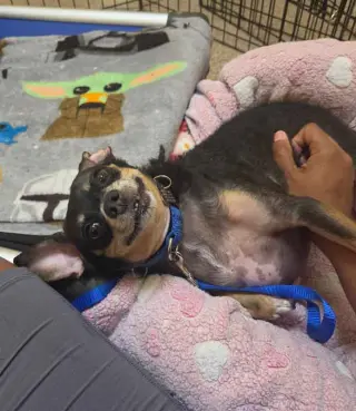 Eugene