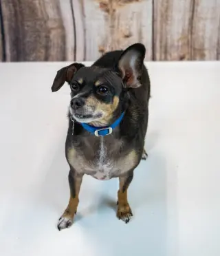 Eugene