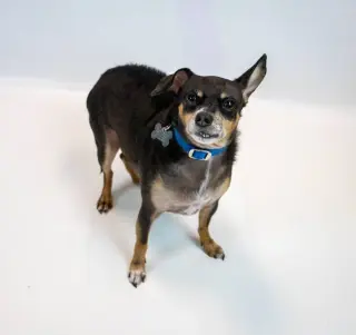 Eugene