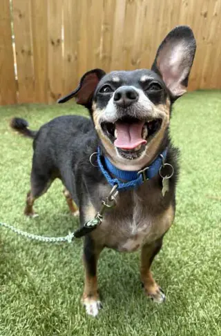Eugene