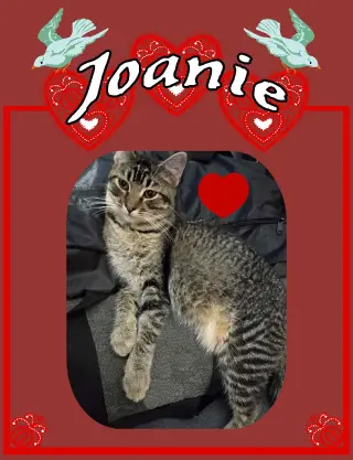 ***Joanie