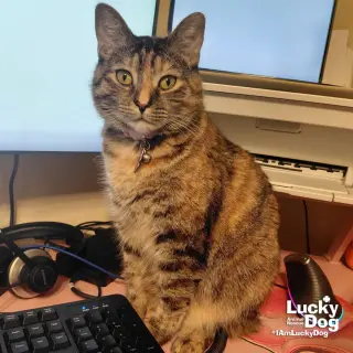 Lil Bitsy