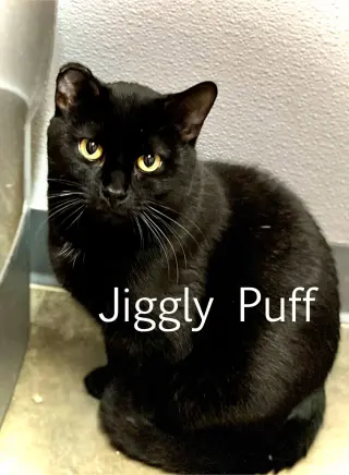 Jiggly Puff