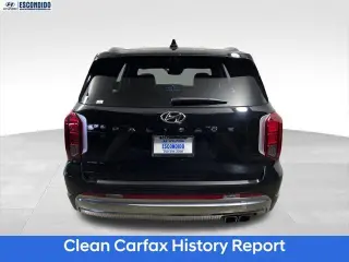Hyundai PALISADE 2024 Calligraphy 4dr SUV