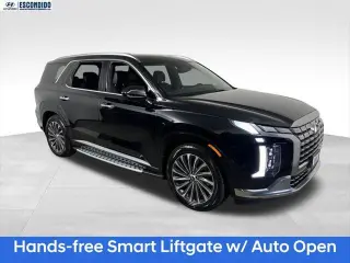 Hyundai PALISADE 2024 Calligraphy 4dr SUV