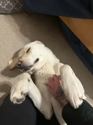 Kumo