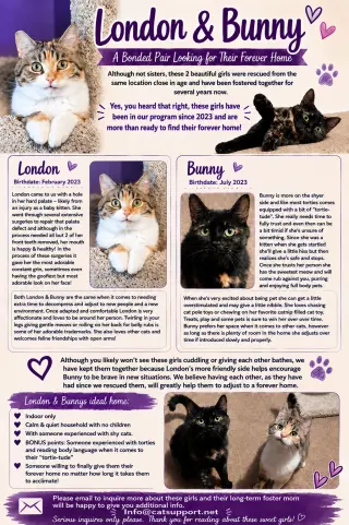 London & Bunny