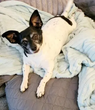 Maddie