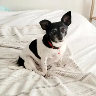 Maddie