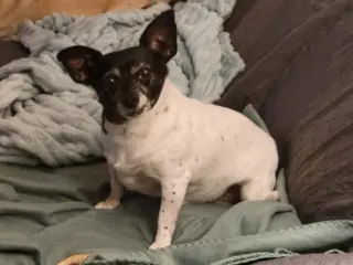 Maddie
