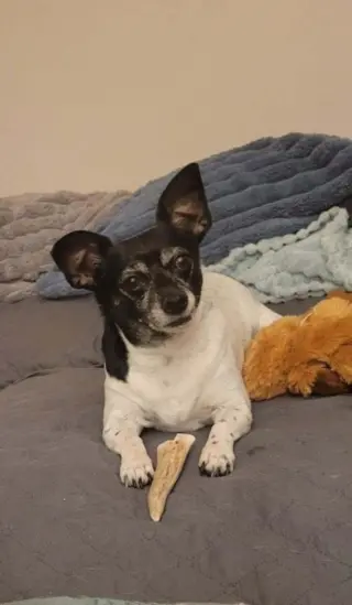 Maddie