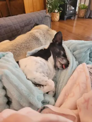 Maddie