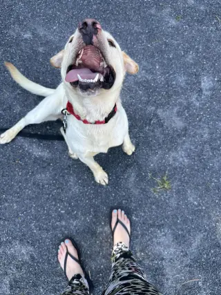 FINNLYN aka Charlie