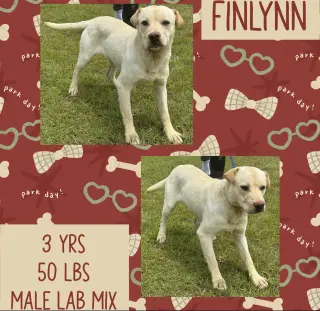 FINNLYN aka Charlie
