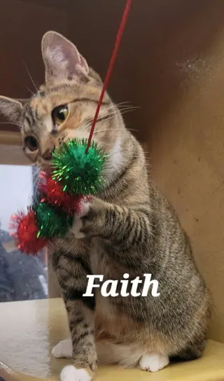 Faith