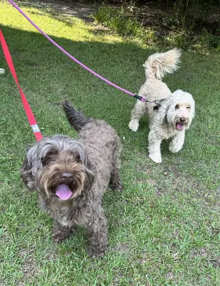 Coco