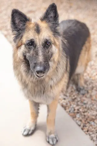 JENNA