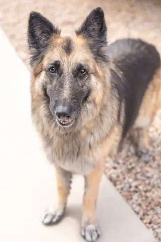 JENNA