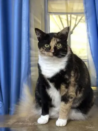Lucille: Not at shelter (Barbe)