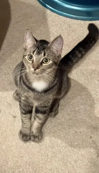 Betty