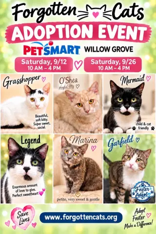 Willow Grove PS Sept. Adoption Events
