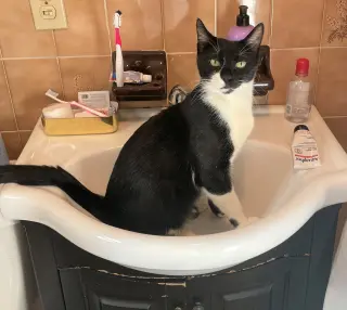 Juno