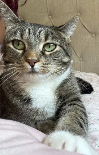 Molly