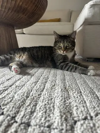 Molly