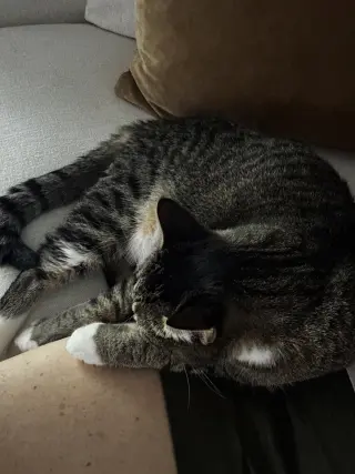 Molly
