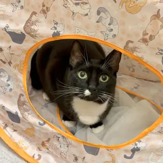 Lilly