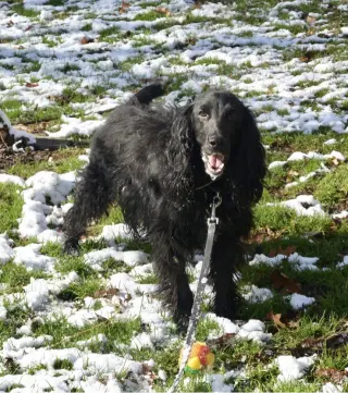 Charlie