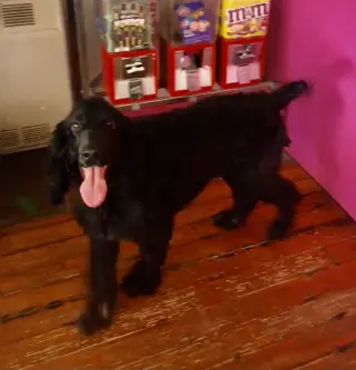 Charlie