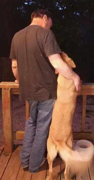 Mingo