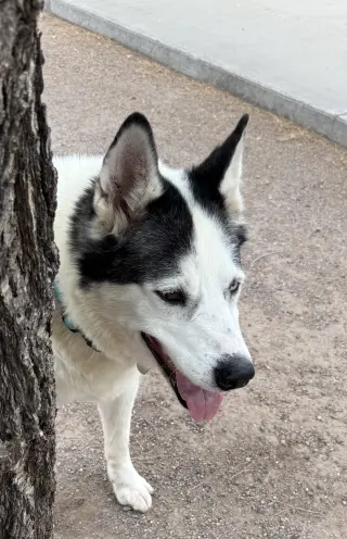 Zeus
