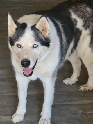 Zeus