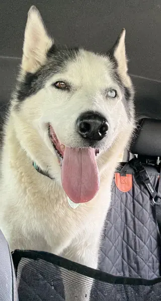 Zeus