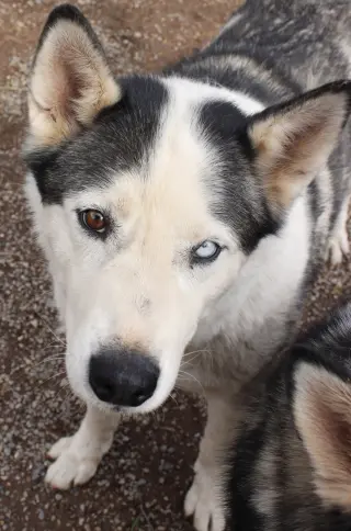 Zeus