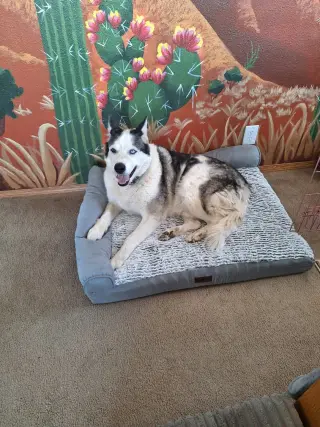 Zeus
