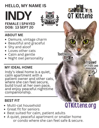 Indy