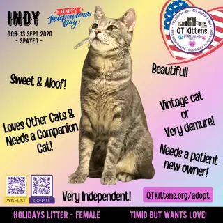 Indy